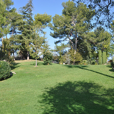 Entretien jardin Nice 06
